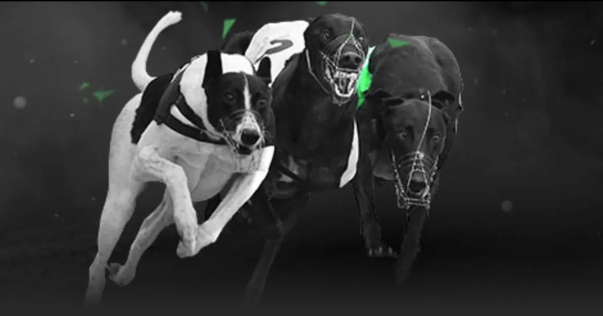 伍兹与特朗,普前儿媳恋,情公开,万博manbetx体育平台,万博体育官网,万博体育app下载,ManBetX,SPORTS