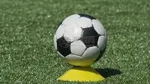 大棠紅葉2025：尾聲將至，港鐵特巴服務倒數兩日